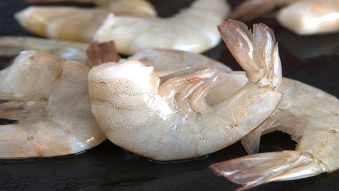 Langostino