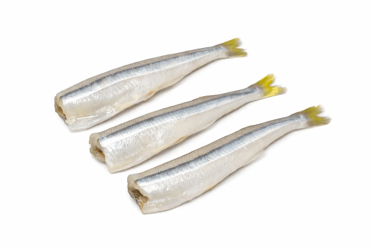 Perico (Mahi-Mahi)
